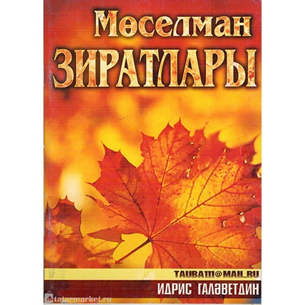 Мөселман зиратлары. И. Галәветдин фото в интернет-магазине Аль-Калям